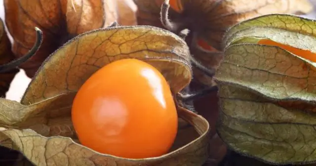 Как разводить семена?