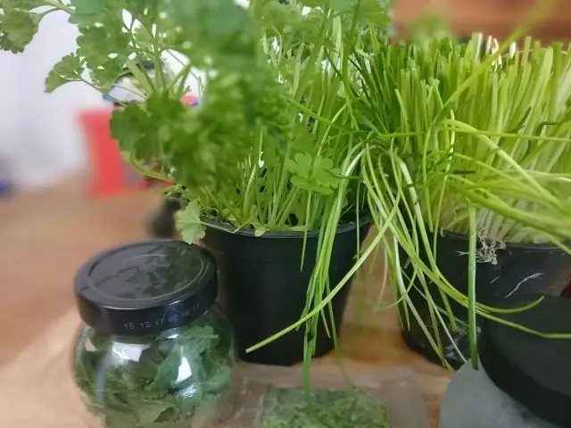 Как долго прослужат пластиковые ставни?