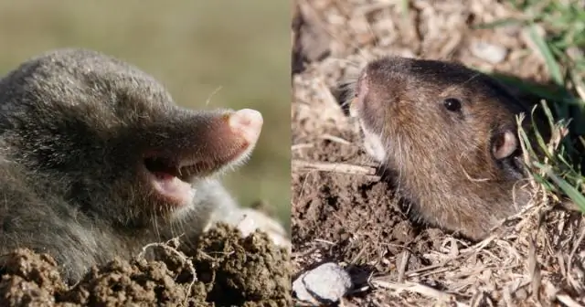 Насколько глубока корзина для белья?