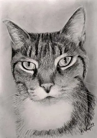 Что означает название Бидермейер?