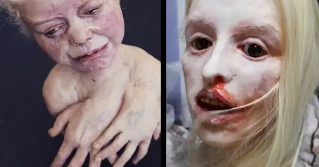 Кто делает кресло для зверя?