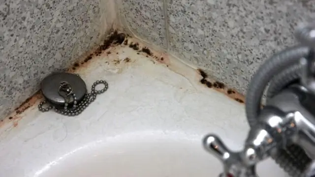 Как удалить черную плесень с дерева на чердаке?