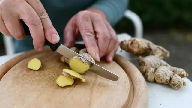 Как часто цветет кактус?