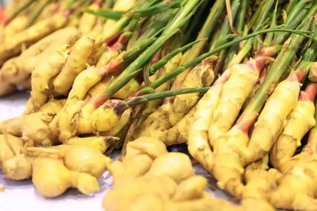 Где вы сажаете каладиум?