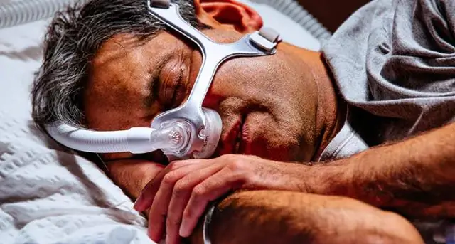 Как увеличить рост цитрусовых?