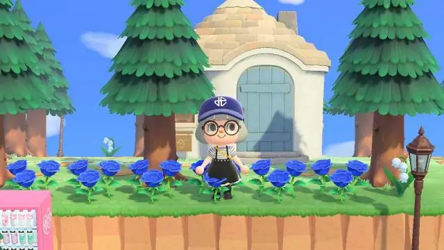Как поливать цветы в Animal Crossing?