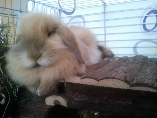 Сколько стоит небольшая перегородка на крыльце?