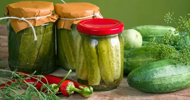 Могут ли суккуленты жить в стеклянной банке?