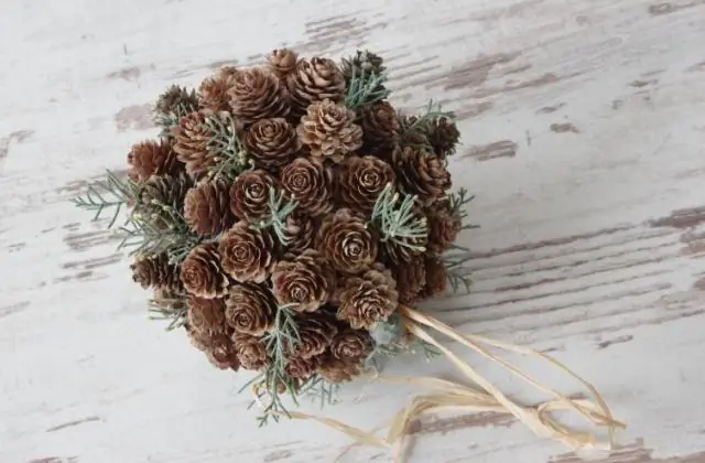 Что такое цветочная квартира?