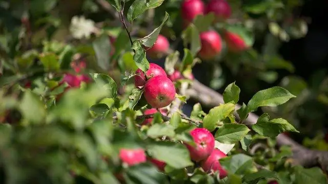 Как заменить домашний компрессор кондиционера?