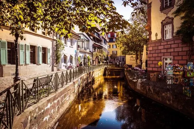 Какой свет движения самый лучший?