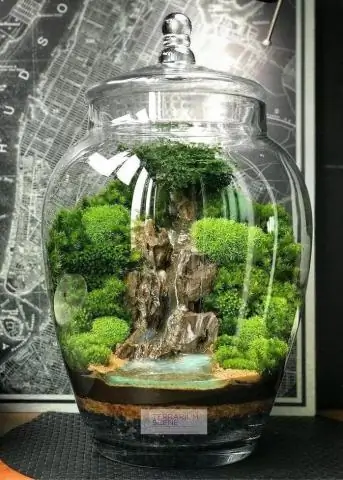 Какие ошибки есть в Moss?
