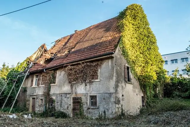 Не работает ли грабли-убийца мха?