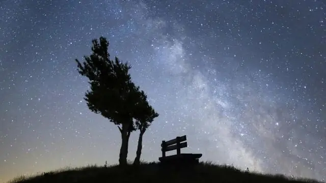 Сможете ли вы разделить Лиатрис осенью?