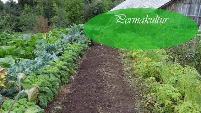 Как запретить животным есть растения?