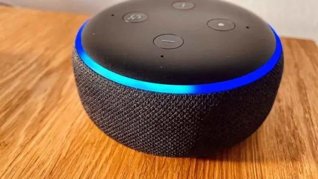 Работает ли удаленный доступ Alexa voice с Echo dot?