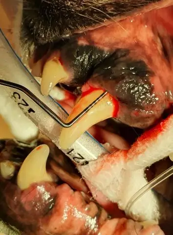 Какая глубина у духовки?