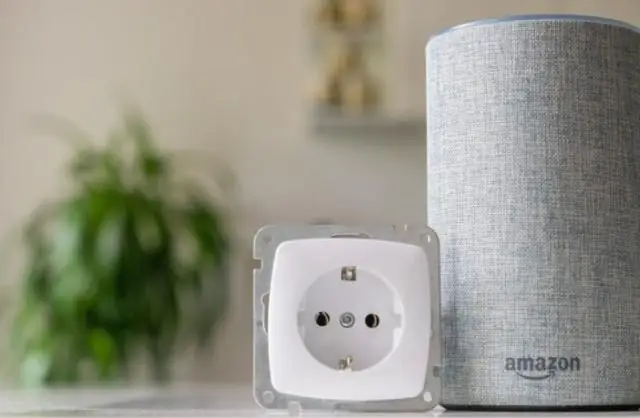 Работает ли Amazon Smart Plug с Google Home mini?