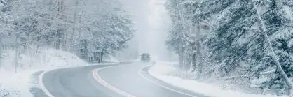 Следует ли прищипывать соцветия колеуса?