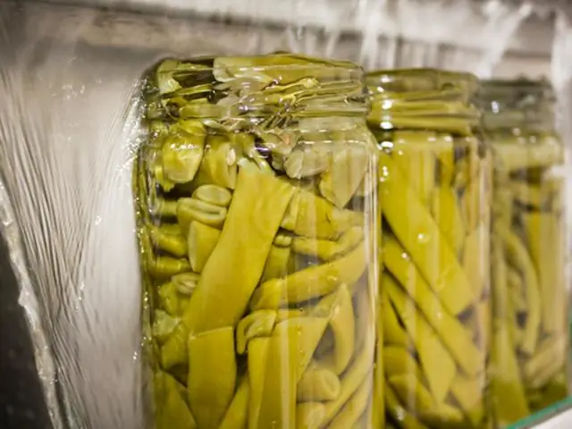 Как вы приучаете стручковые бобы лазать?