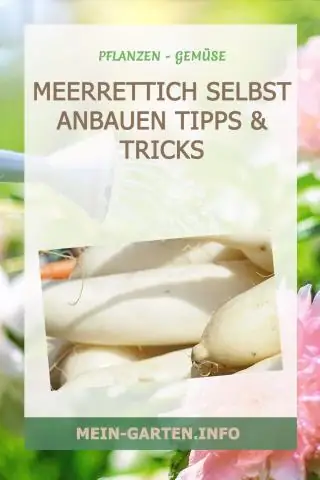 Какие химические вещества используются для уничтожения сорняков?