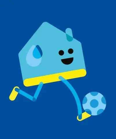 Сколько мест у Academy Sports?