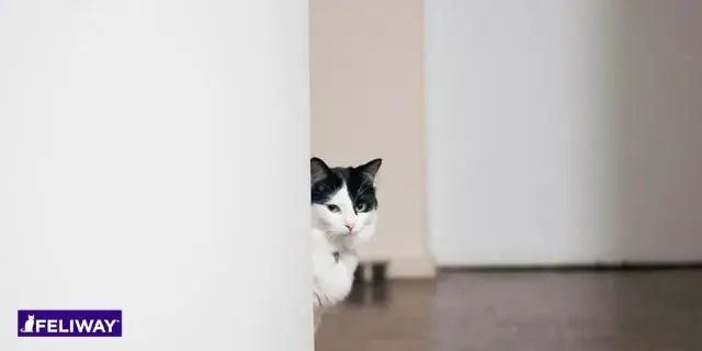 Почему мои воздуховоды шумят?