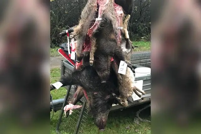 Может ли кофейная гуща убивать траву?