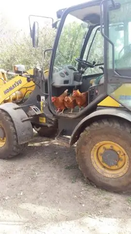 Какая трава хорошо растет в красной глине?