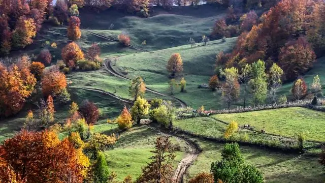 Где фильтр на масляной печи?