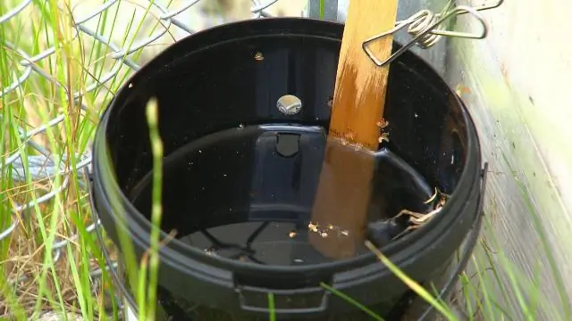 Как далеко разносятся гортензии?