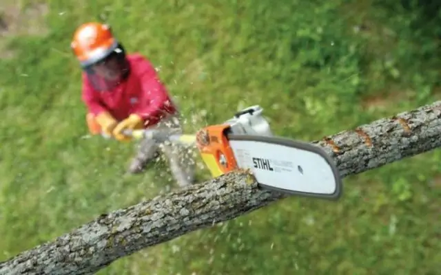 Сколько весит пилорама Stihl?