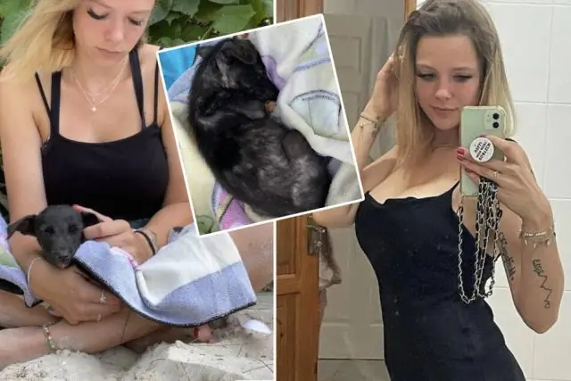 Кто производит мойки высокого давления Husky?