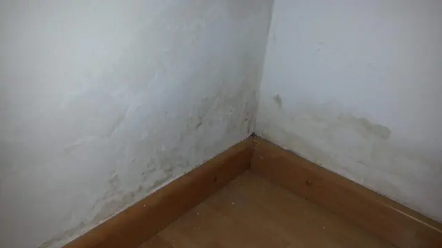 Что такое тумба для стиральной машины?
