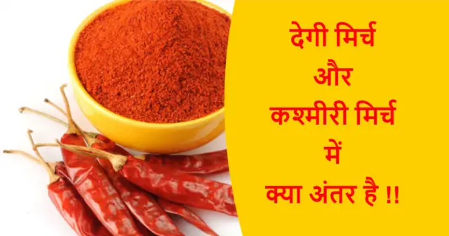 Гостевой пост: Замочите перец и перец чили в ромашковом чае