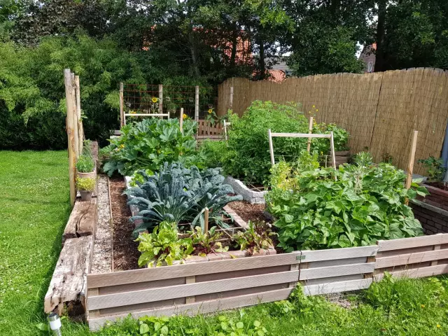 Можно ли на раскидистой земле устроить огород?