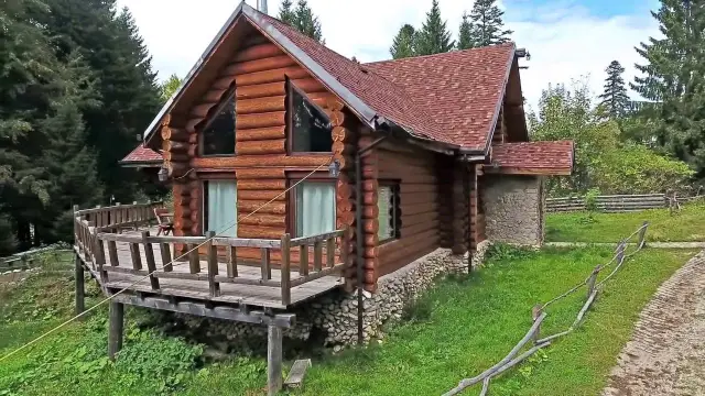 3 елки, 3 стиля