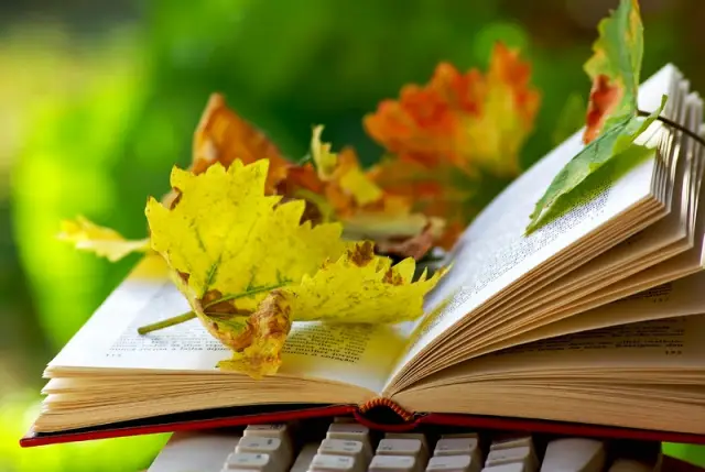 Украсьте книгами