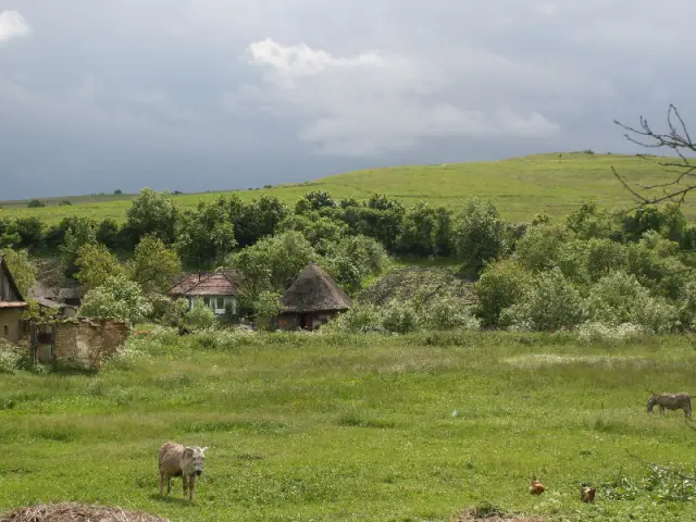 В деревне как в городе