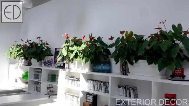 Улучшите качество вашей домашней среды с помощью этих увлажнителей
