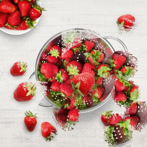 С этим вакуумным упаковщиком продукты дольше хранятся