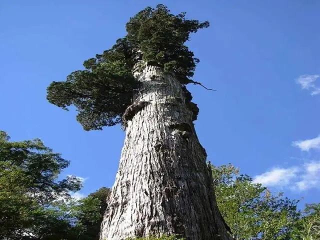 Лучшее время года для покупки мойки высокого давления